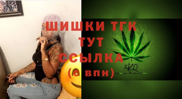 молекула духа Надым