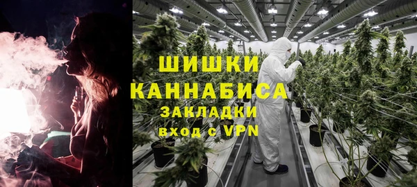 PSILOCYBIN Навашино