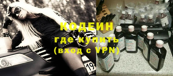 молекула духа Чехов