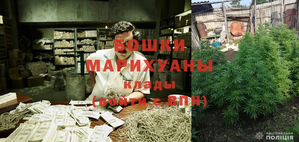 ПСИЛОЦИБИНОВЫЕ ГРИБЫ Наволоки