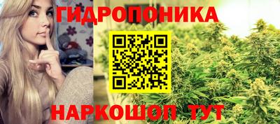 ГАЛЛЮЦИНОГЕННЫЕ ГРИБЫ Заволжье