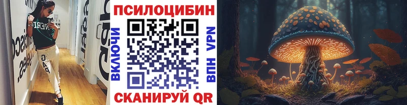 маркетплейс телеграм  Курчатов  Псилоцибиновые грибы Psilocybine cubensis 