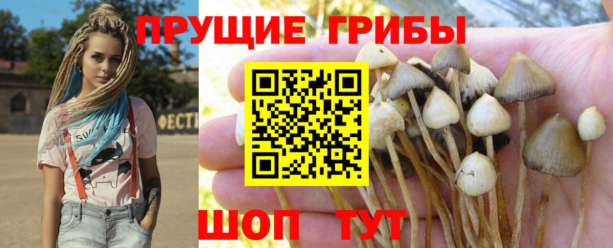 Псилоцибиновые грибы Magic Shrooms Курчатов