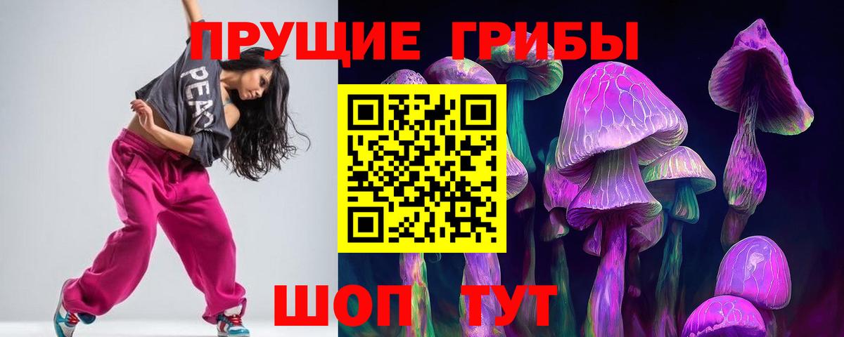 Псилоцибиновые грибы MAGIC MUSHROOMS  Вход с VPN  Курчатов  Псилоцибиновые грибы прущие грибы 