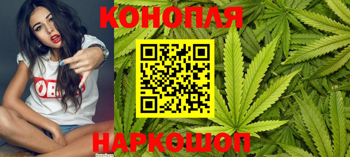 Канабис Amnesia  Вход с VPN  Курчатов  Канабис семена  Бошки марихуана сатива 